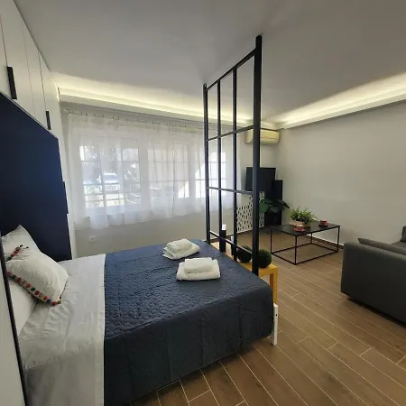 Hyacinthus * Rhodes City