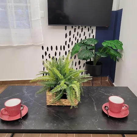 Hyacinthus * Rhodes City