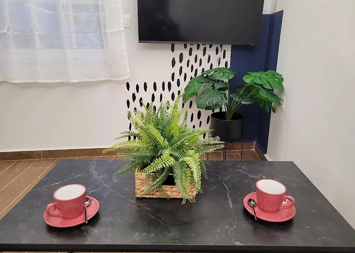 Hyacinthus * Rhodes City